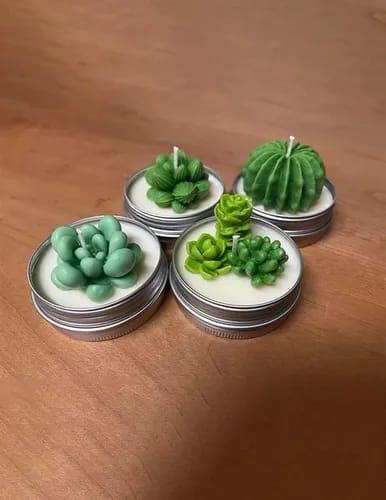 Souvenir Mini Suculenta