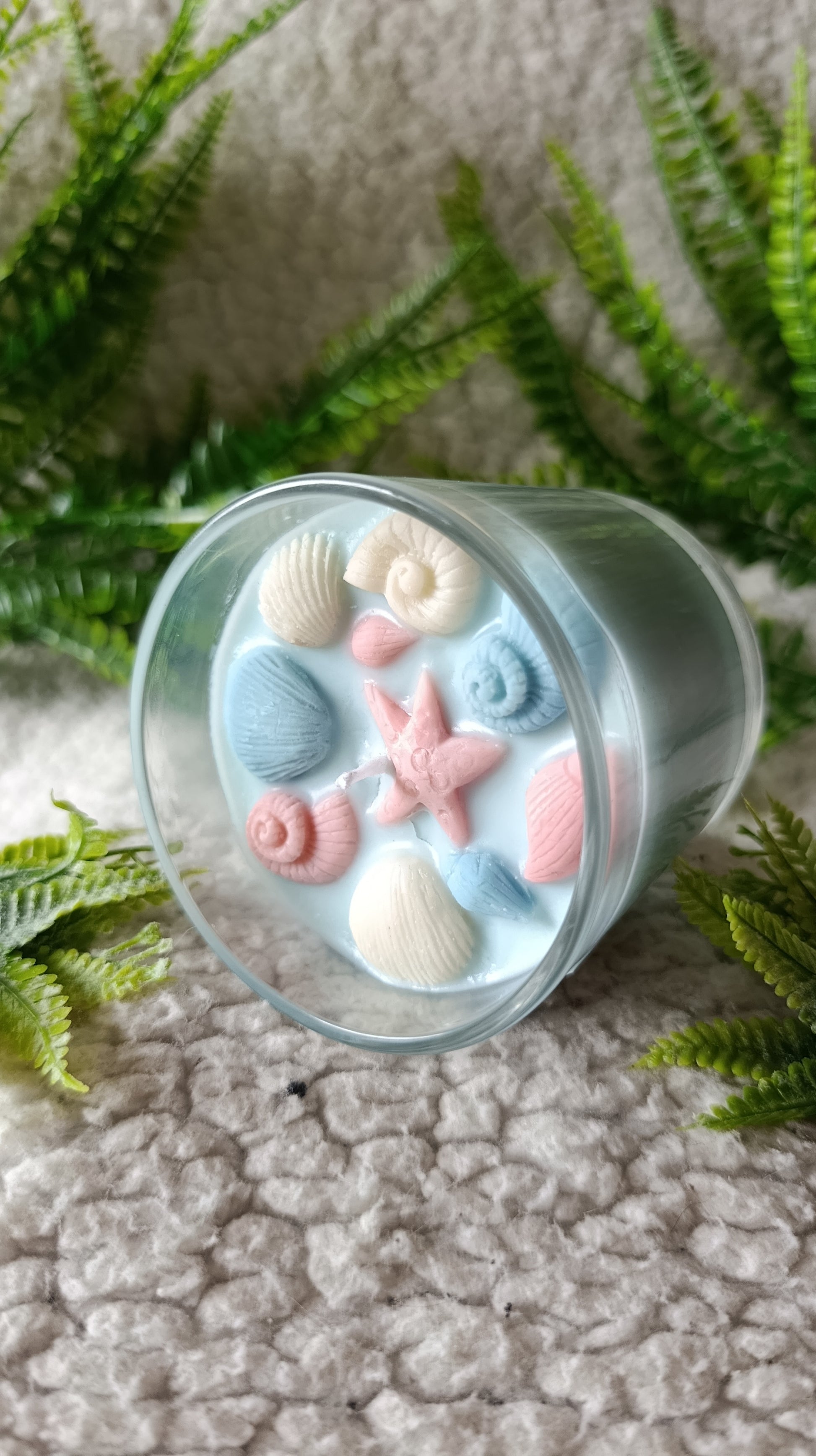 Colección completa Ocean