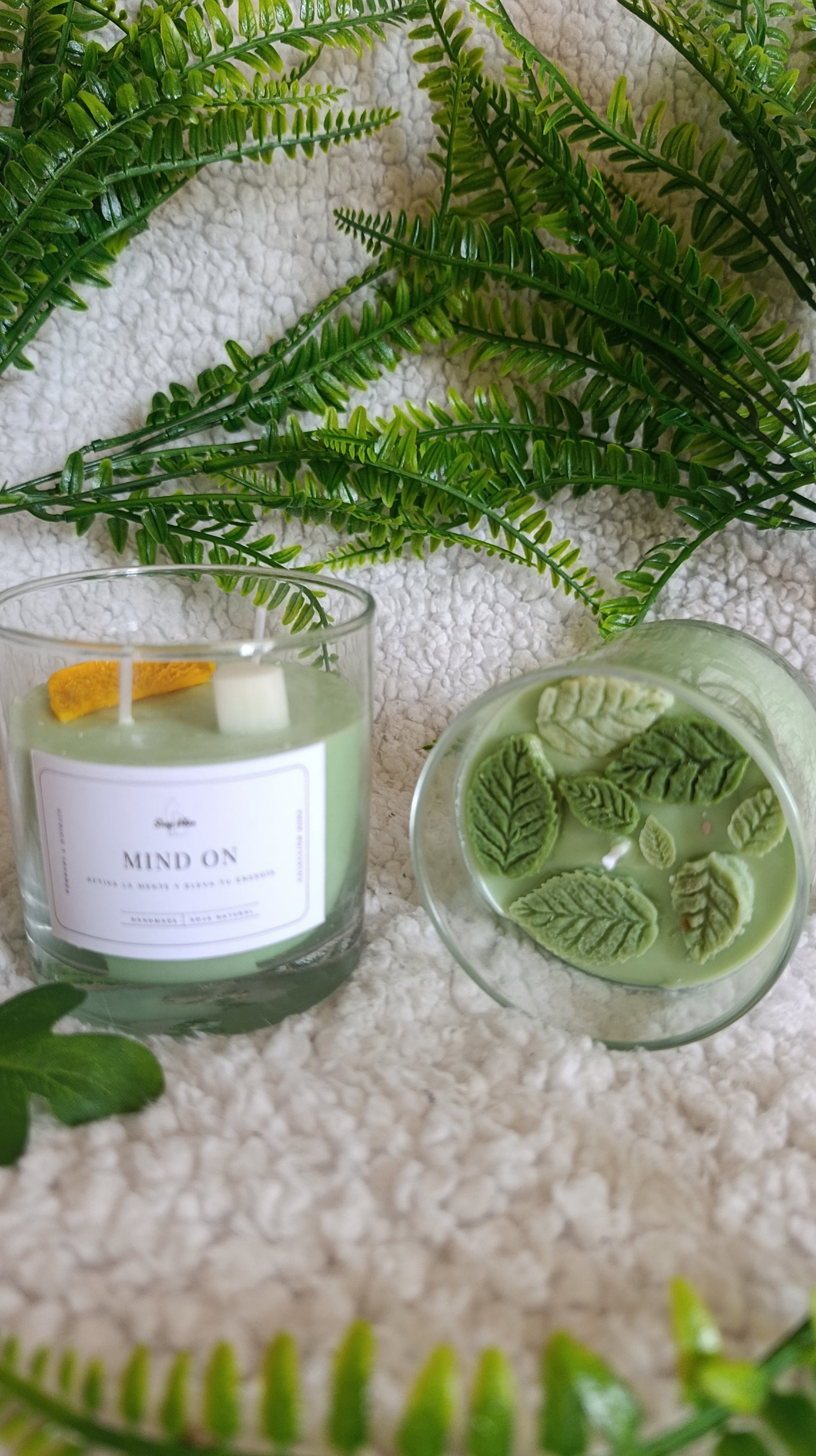 Colección Completa Aura