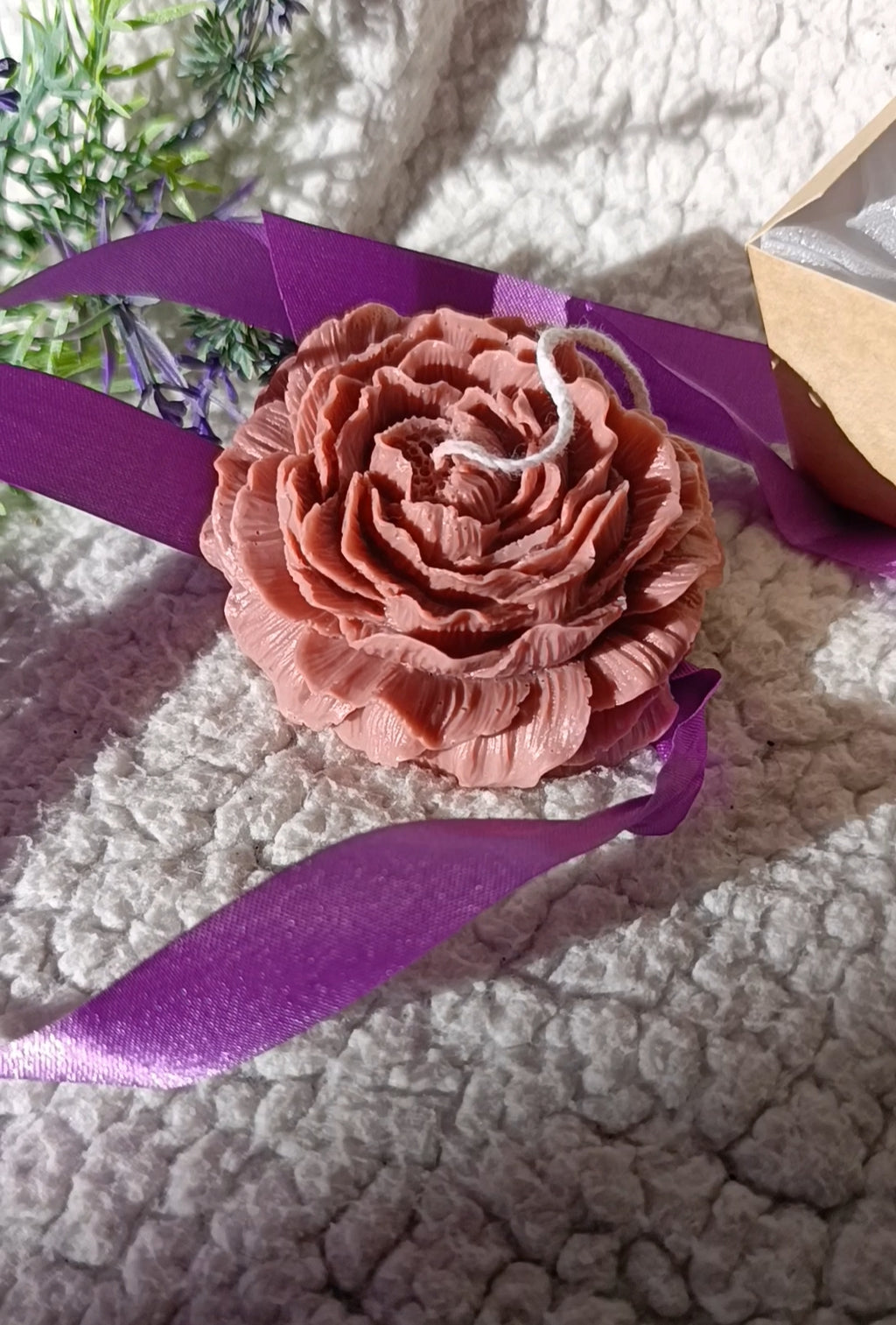 Peonia Día de la Mujer