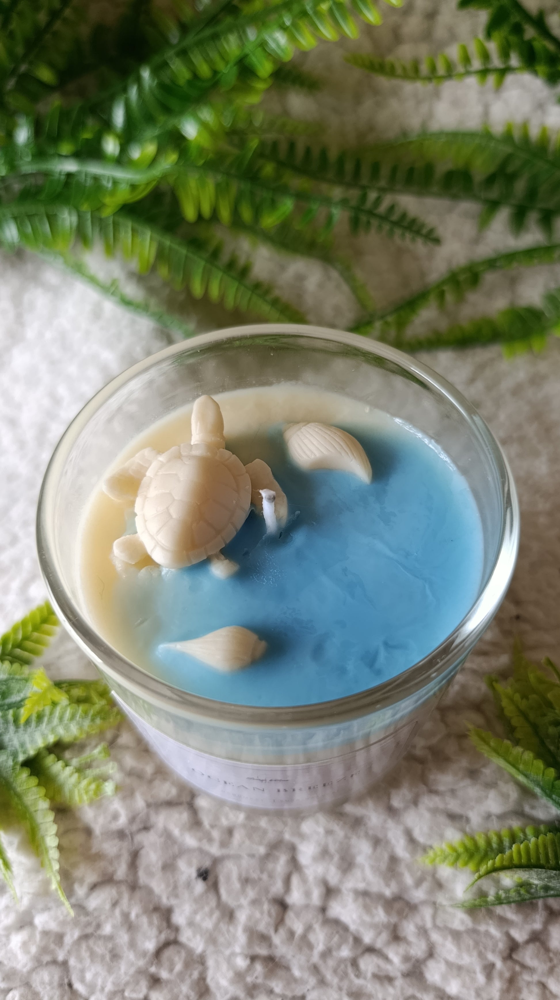 Colección completa Ocean