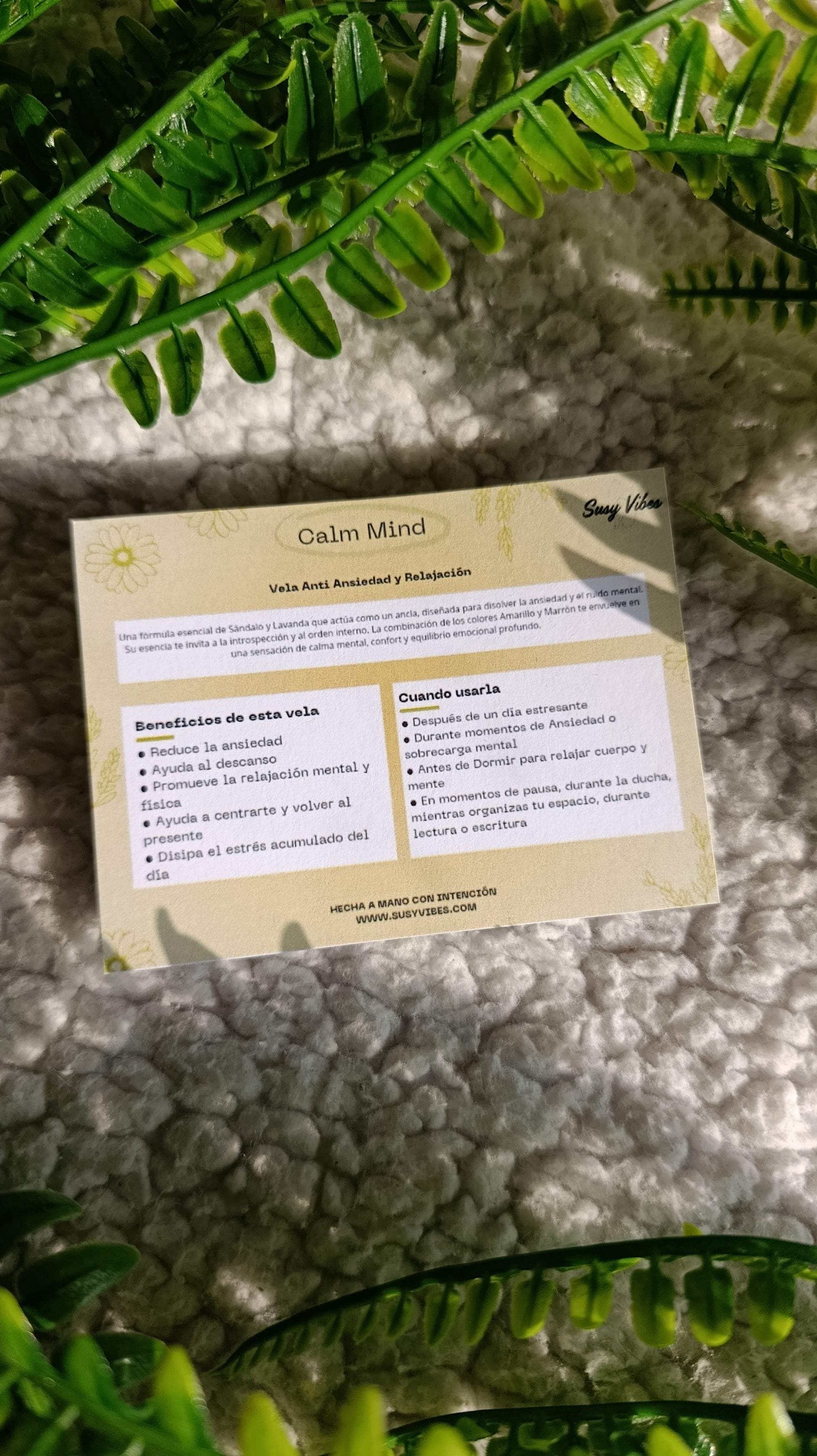 Tarjeta Informativa Aura