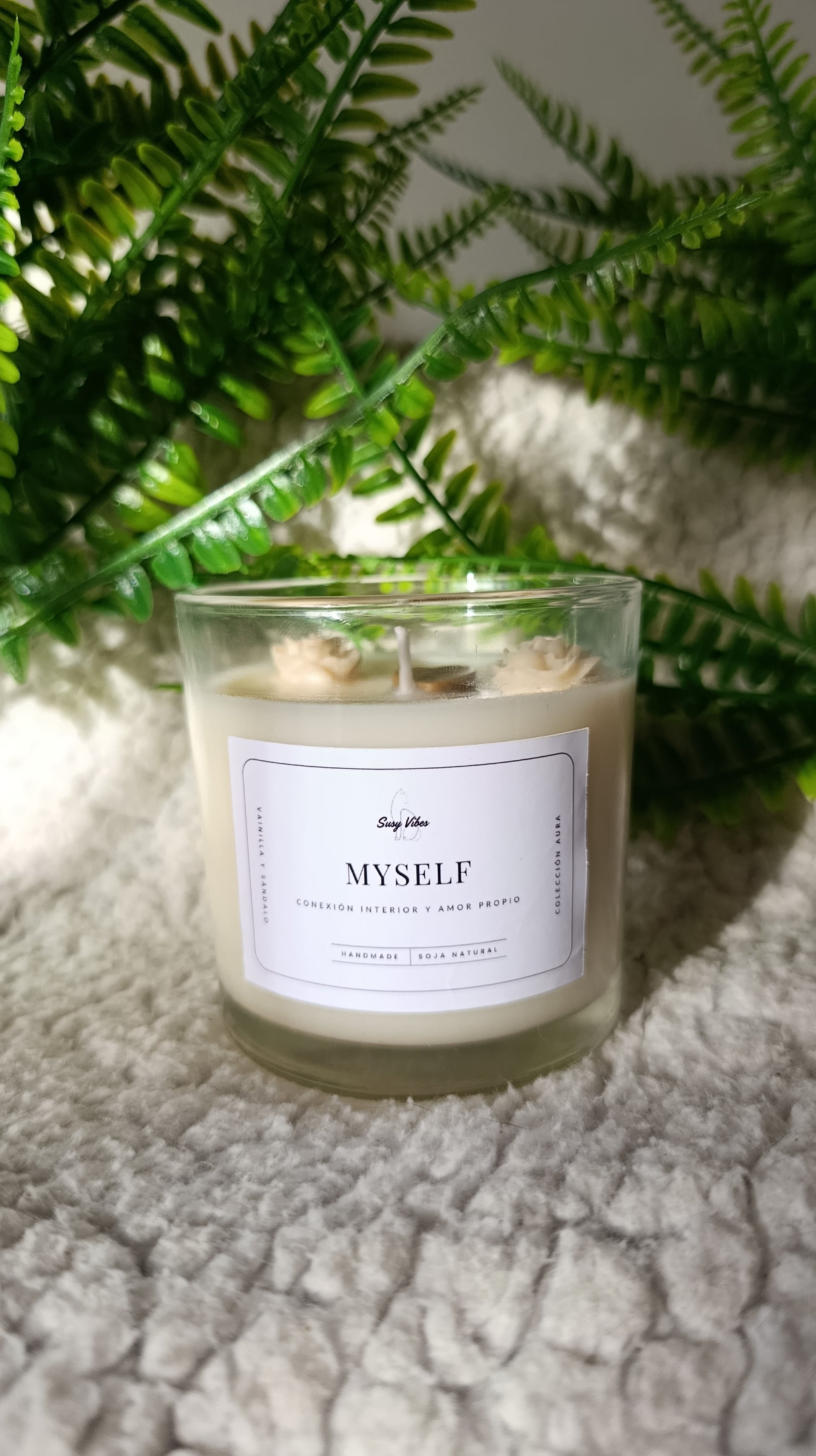 Colección Completa Aura