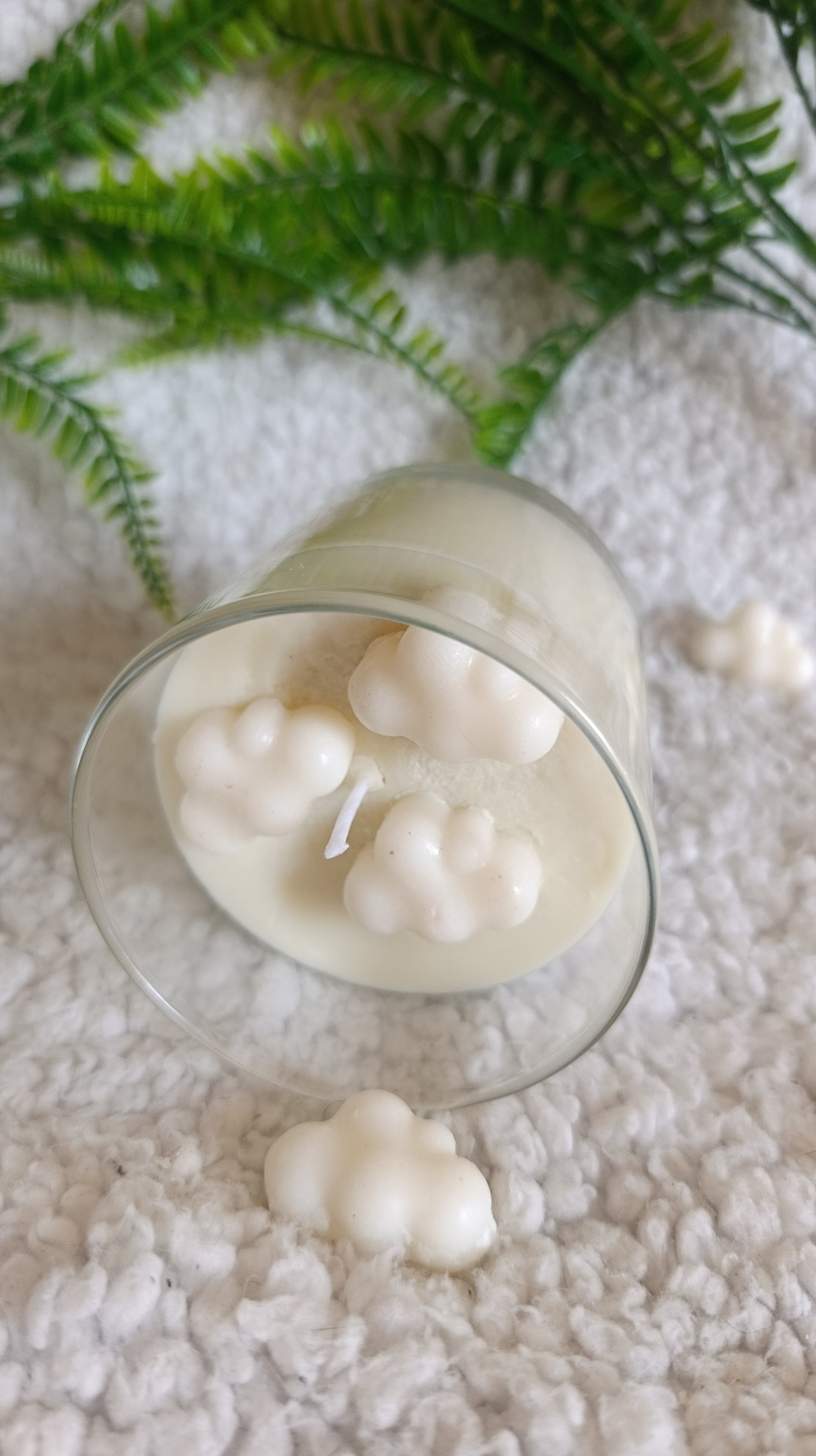 Vela Sleeping Beauty - Grande