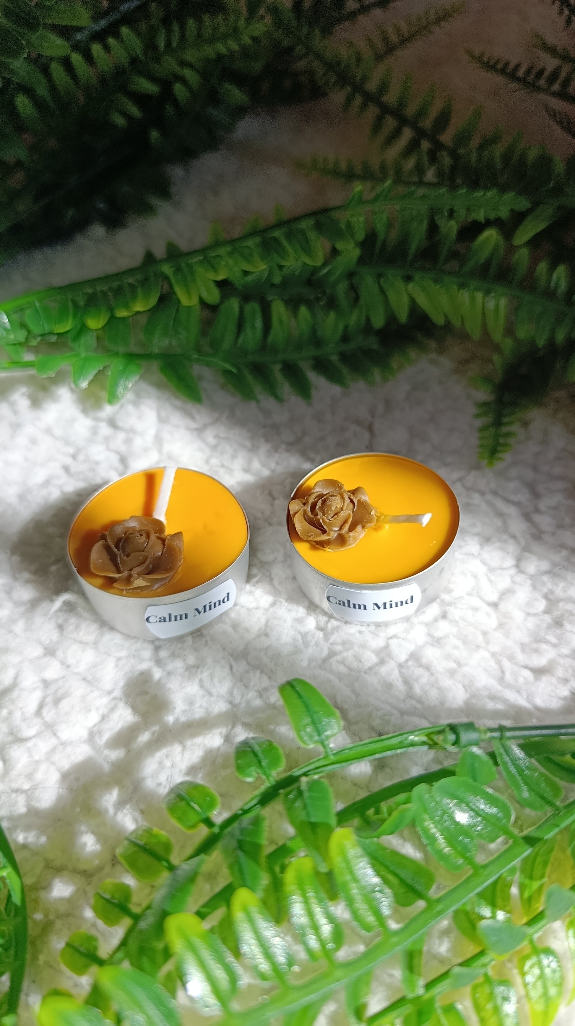 Pack Velas de té Calm Mind